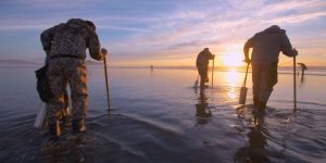 How to Razor Clam | Razor Clam Digging