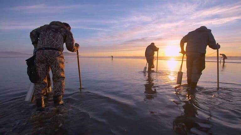 Oregon coast shoreline for razor clam article