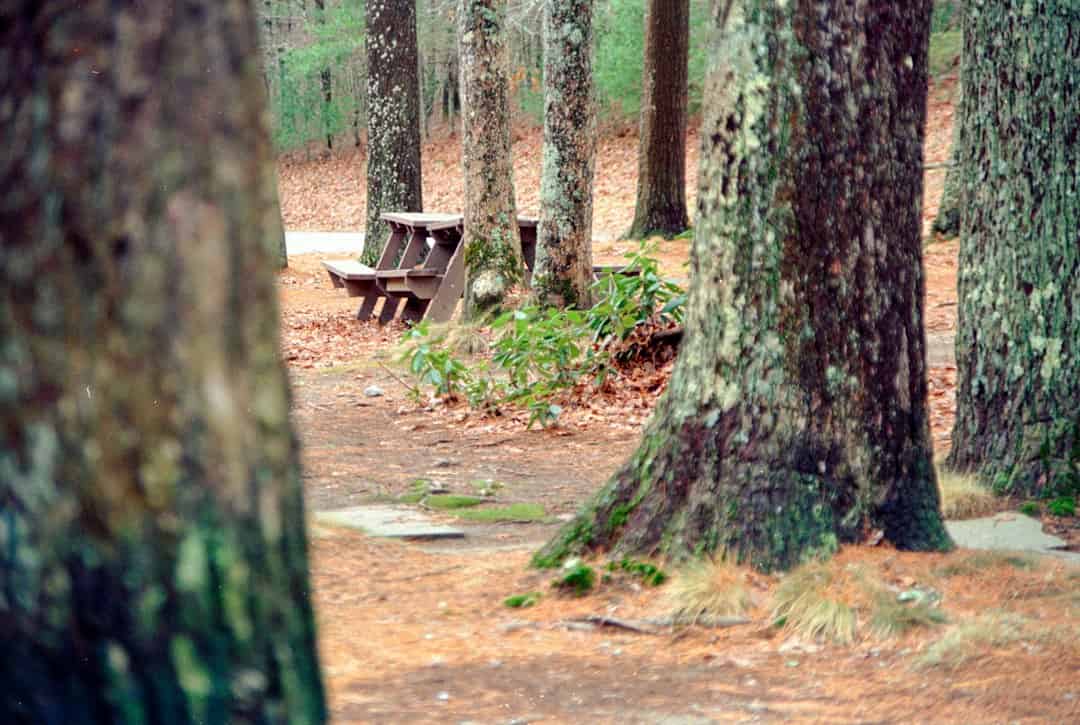 Editorial photo illustrating arriving at a campground after dark