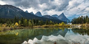 RV Campsite Wildlife Safety: Food Storage and Respectful Camping